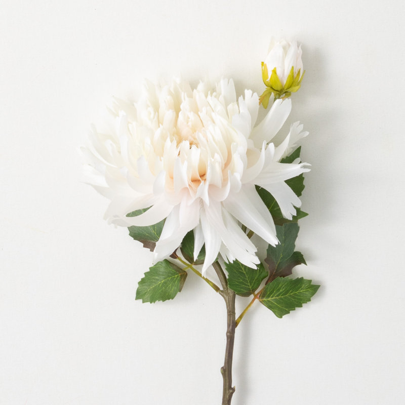Dahlia Sprays, Crème, H 21 po x l 7 po x P 7 po