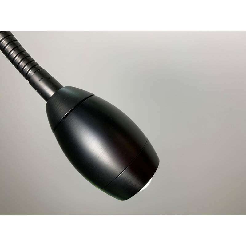 Natural Daylight Focused Beam Adjustable Beam LED Floor Lamp, Blackened Bronze, Blackened Bronze