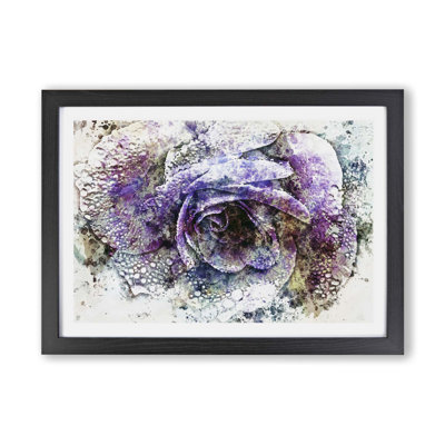 Rose - Framed Print