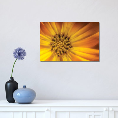 Sunflower 1 Piece Wrapped Canvas Wall Art