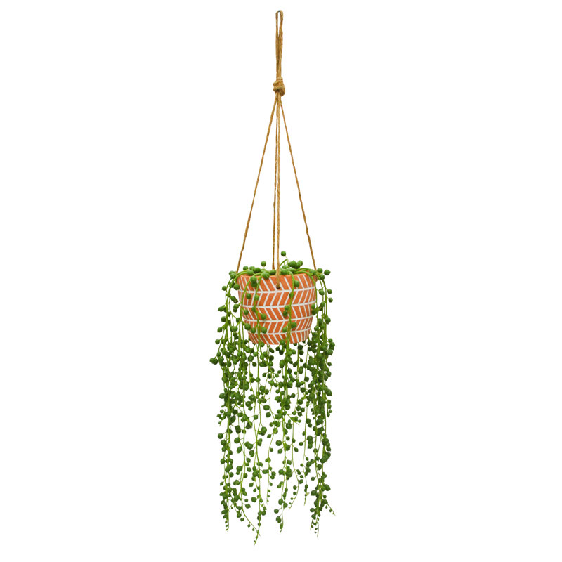 15" String of Pearls in Hanging Planter
