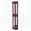 Corner Curio Cabinet with Lights, Adjustable Shelves, and Mirrored Back for Elegant Display and Storage-131281163