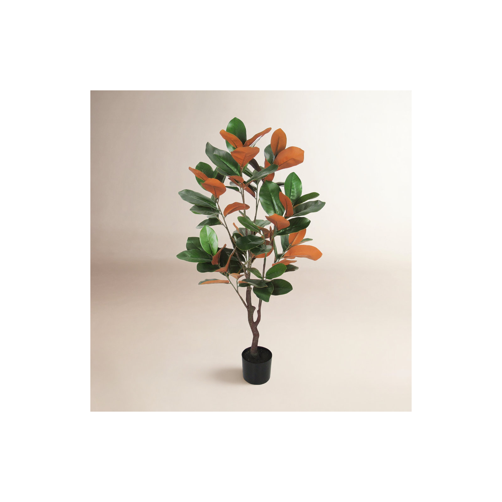 Faux Magnolia Plant in Pot, 48" H x 25" W x 25" D