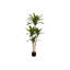 Plante en faux ciment 51,25 po Mcginnis