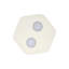 Flush Mount