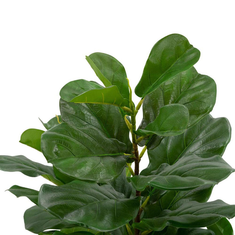 59.1'' Faux Fiddle-Leaf Fig Tree Tree in Cement Pot