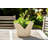 Ceramic Stoneware Planter with Embossed Butterfly Design and Sculpted Wings for Decorative Display-1258849314