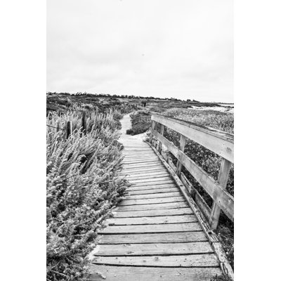Asilomar Beach Path by Mraust