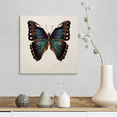«Butterfly Study III» par Wang Melissa - reproduction d'art sur toile