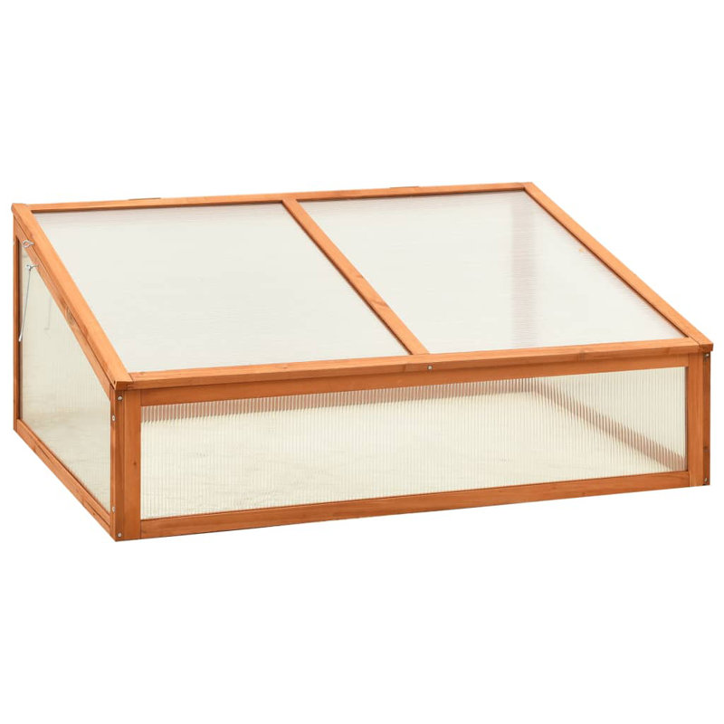 Structure froide l 39,4 pi x P 25,6 po Havisham, Jaune