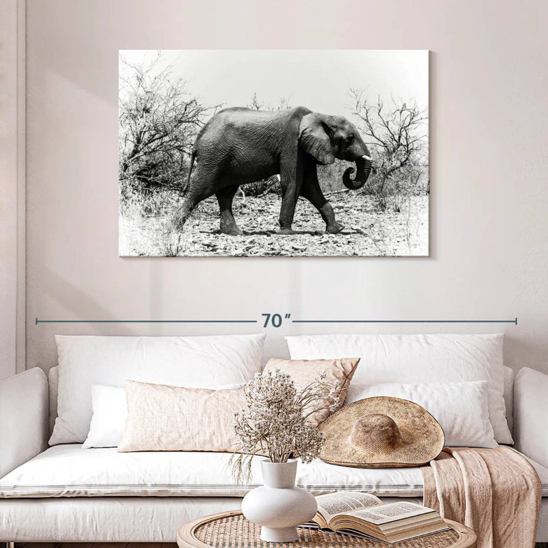 Éléphant d'Afrique Brampt au Botswana, H 30 po x l 45 po
