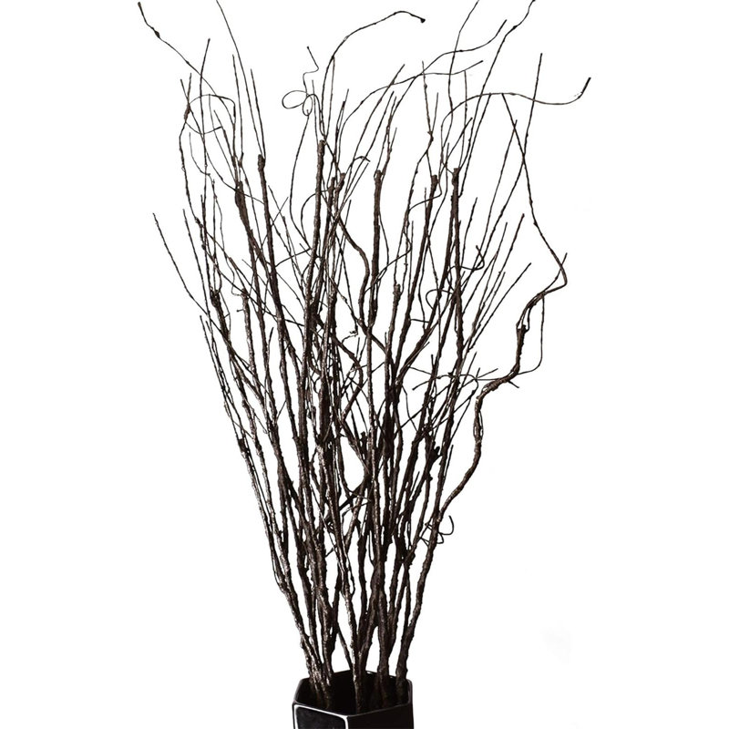 Curled willow branches decoration