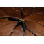 Chelsea Round Walnut Wood Dining Table