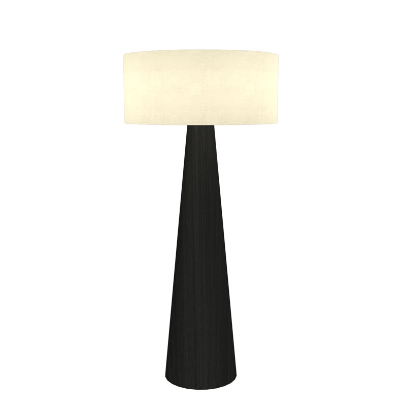 Cônica 62.4'' Novelty Floor Lamp, Charcoal