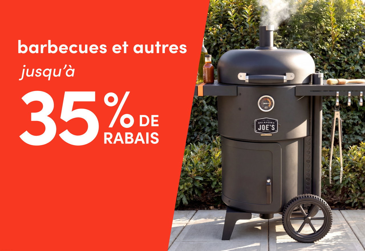 barbecues et autres en solde