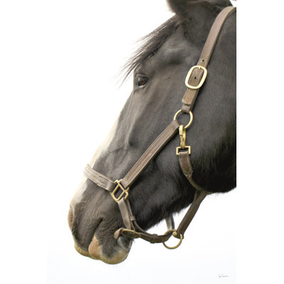 In Halter by Sue Schlabach - Wrapped Canvas Print