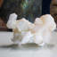 Vert apophyllite sur stilbite sur calcédoine