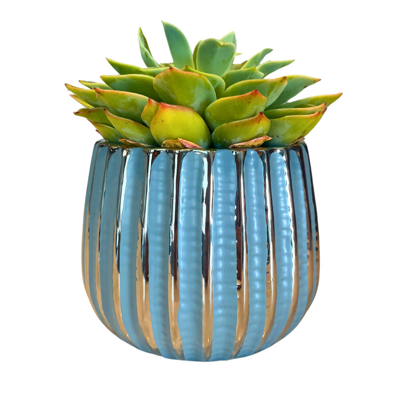 4" Ceramic Houseplant Ceramic Pot, Decorative Planter, Blue