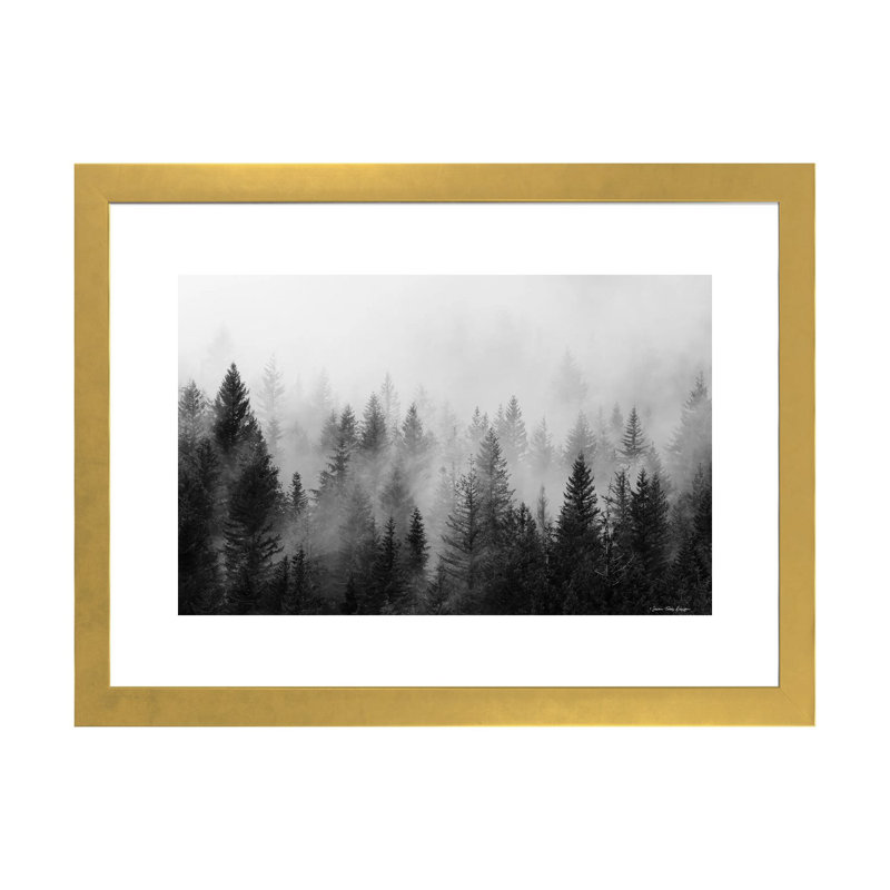 «Forest» par Seven Trees Design - impression d'art graphique, Papier encadré doré, H 24 po x l 32 po x P 1 po, Blanc