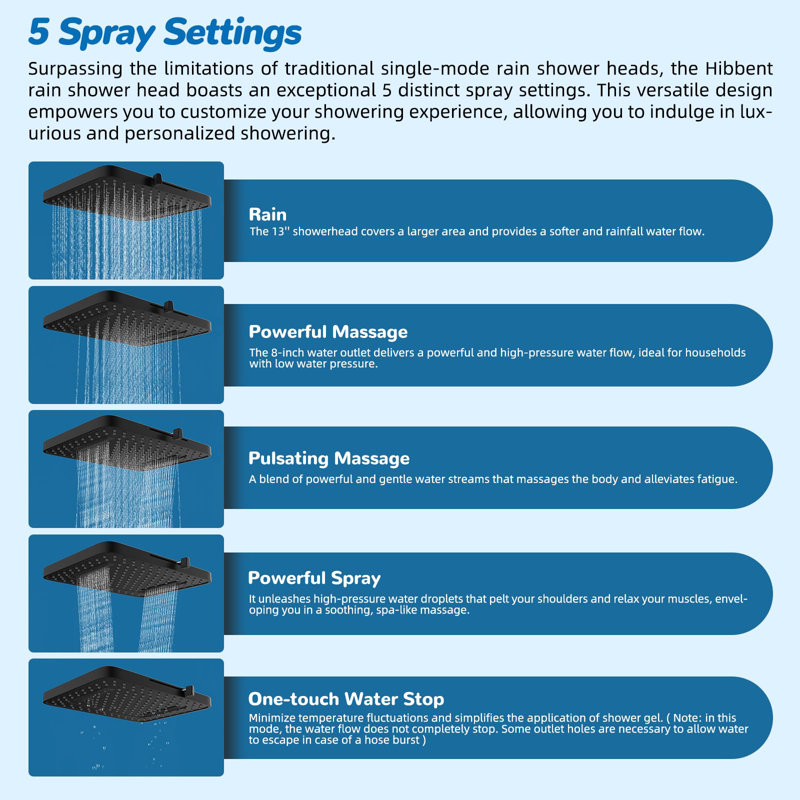 5-Spray Dual Filtered Rainfall Shower Head Combo, High Pressure 13'' Shower Head , With Pause Mode, 71'' Hose, Matte Black