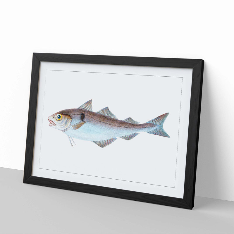 Haddock Fish by Edward Donovan - Picture Frame Painting Print, 27cm H x 36cm W x 2cm D, Black Framed