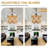 Dayzhane 42" Boho Retractable Ceiling Fan with Lights, Farmhouse 6 Speeds Wood Beaded Ceiling Fan with Remote Control-1650624916