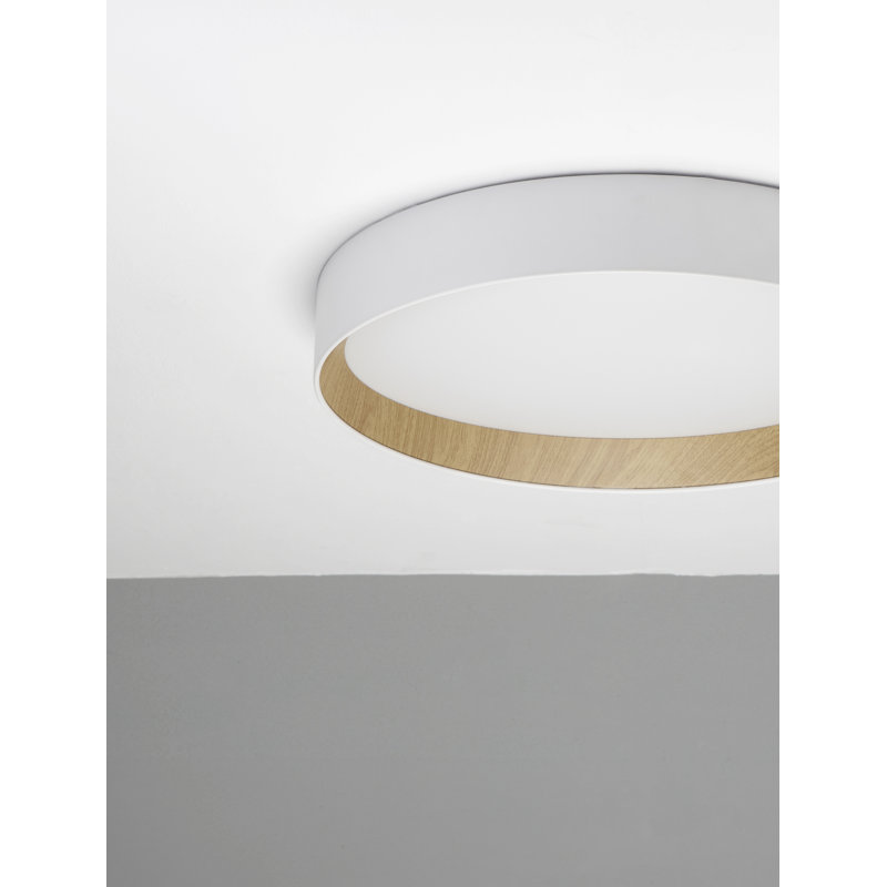 Derwyn LED Flush Mount