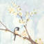 « spring chickadees ii », reproduction d’impression sur toile-29089677-72777134-72777139