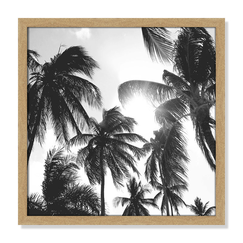 Palmiers des Caraïbes - reproduction de cadre photo, L 17 po x H 17 po, Encadrement brun