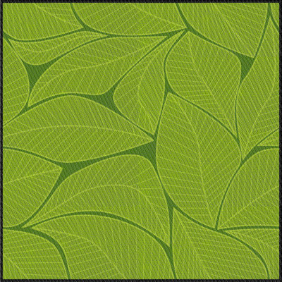 Floral Indoor Rug