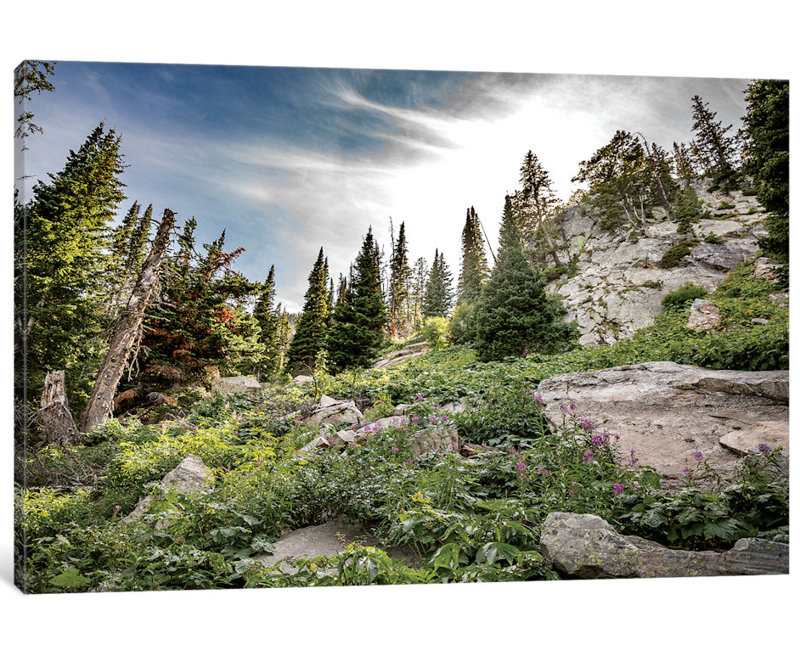 « montana moment », reproduction de photo sur toile, H 12 po x l 18 po x P 1,5 po