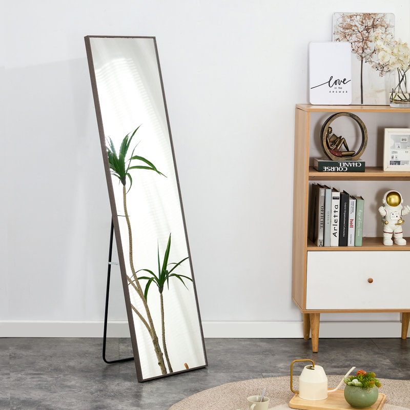 Miroir pleine grandeur gris 3ème génération