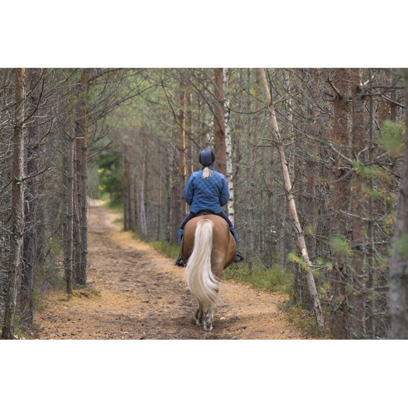 Forest Path And Rider by Sitikka - Wrapped Canvas Print, 81cm H x 122cm W