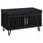 Black 2-door Storage Bench-854957110