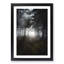 White Wolf in a Forest - Picture Frame Painting Print-56854633-56854629