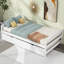 Lit plateforme avec lit gigogne-1056033855