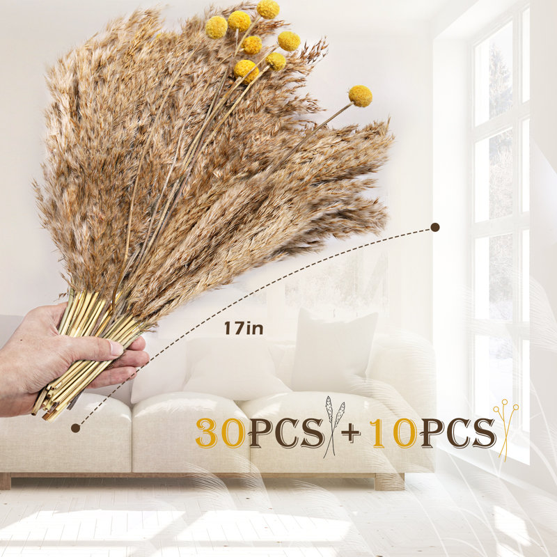 17'' Grass