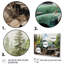 Pickup Truck Offroad Adventures I - Transportation Canvas Wall Art-1748603029-1699301200