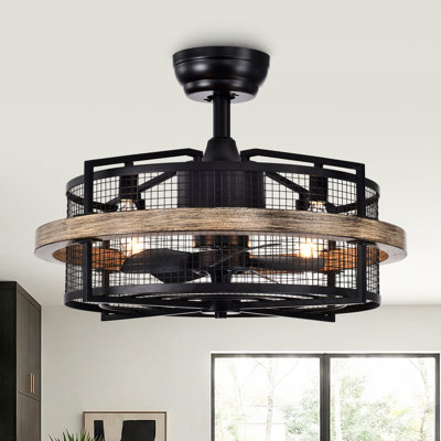 Rishel Caged Ceiling Fan with Remote Control