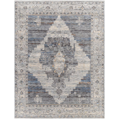Dietram Oriental Indoor Rug