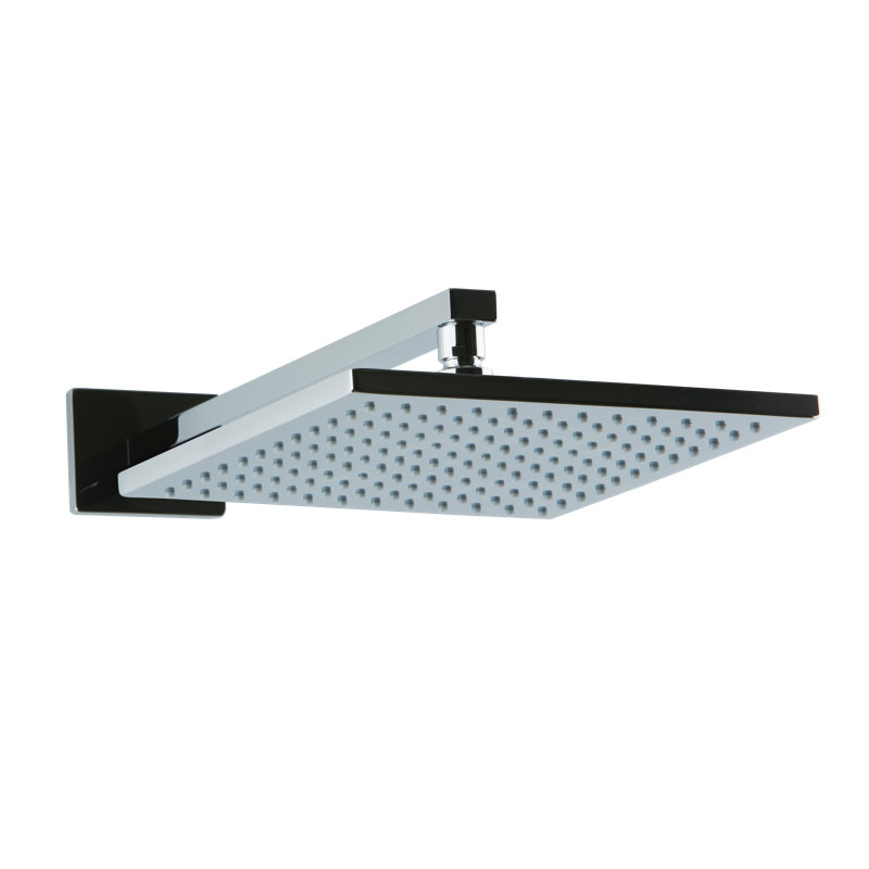 Rain Adjustable Shower Head, Chrome