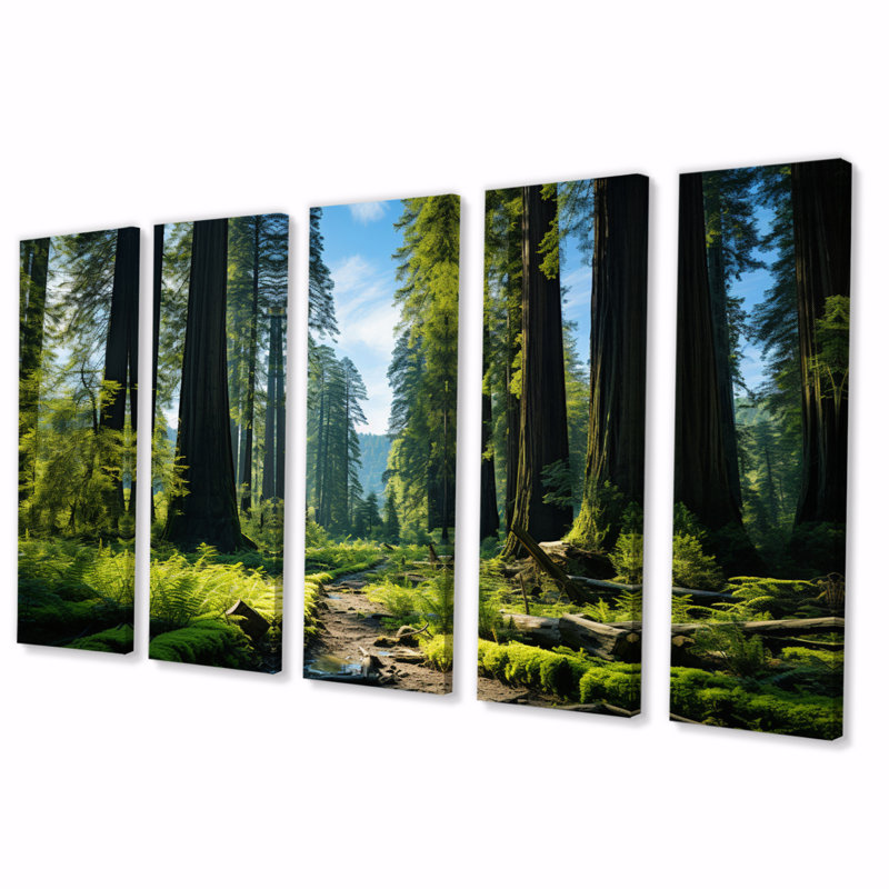 Redwood Giants Tree Forest II - Tree Redwood Canvas Art Print - 5 Equal Panels