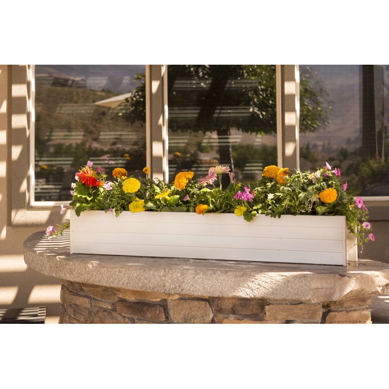 Boîte à fleurs William, H 7,5 po x l 48 po x P 7,5 po