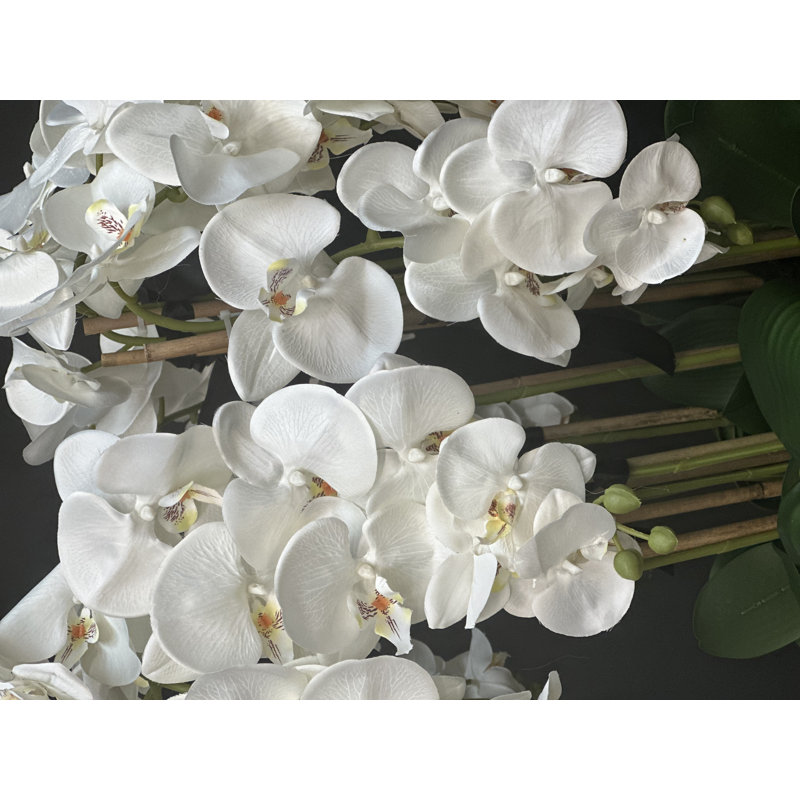 Silk Orchid Arrangement in Planter