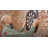 Accudart Sdbc4 Electronic Soft Tip Smart Dartboard With Online Game Play