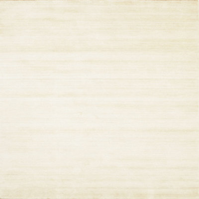 Indoor Rug