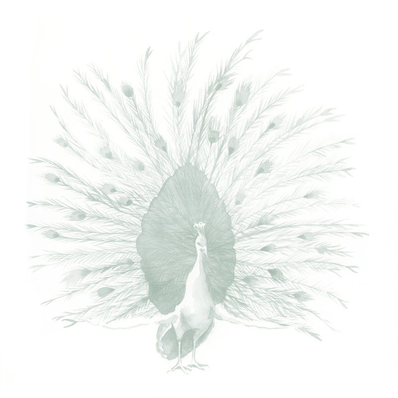 Sage Peacock I by Grace Popp - Wrapped Canvas Painting, 51cm H x 51cm W
