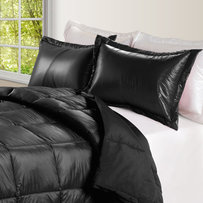 Modern & Contemporary Comforter