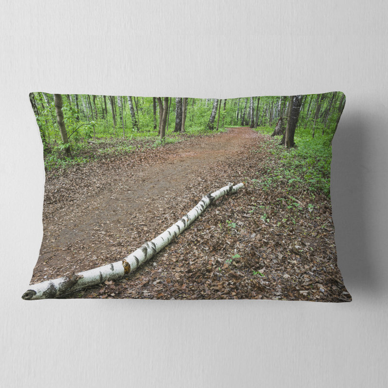 Coussin lombaire Landscape Birch on the Track