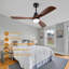 Binisha Ceiling Fan with LED Lights